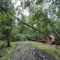 Connecticut kasabasındaki fırtına sonrası temizlik çalışmaları yıl sonuna kadar sürebilir