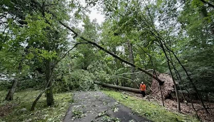 Connecticut kasabasındaki fırtına sonrası temizlik çalışmaları yıl sonuna kadar sürebilir