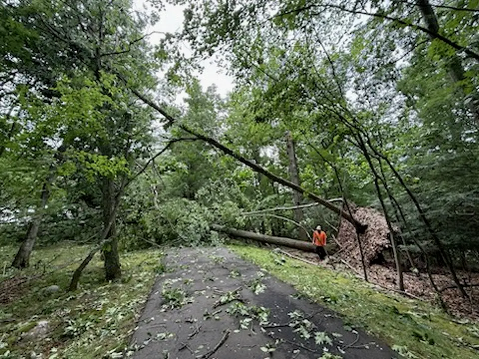 Connecticut kasabasındaki fırtına sonrası temizlik çalışmaları yıl sonuna kadar sürebilir