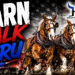 We Can't Show You Everything Yet NEW Draft Horse Teams & Mules Are Coming